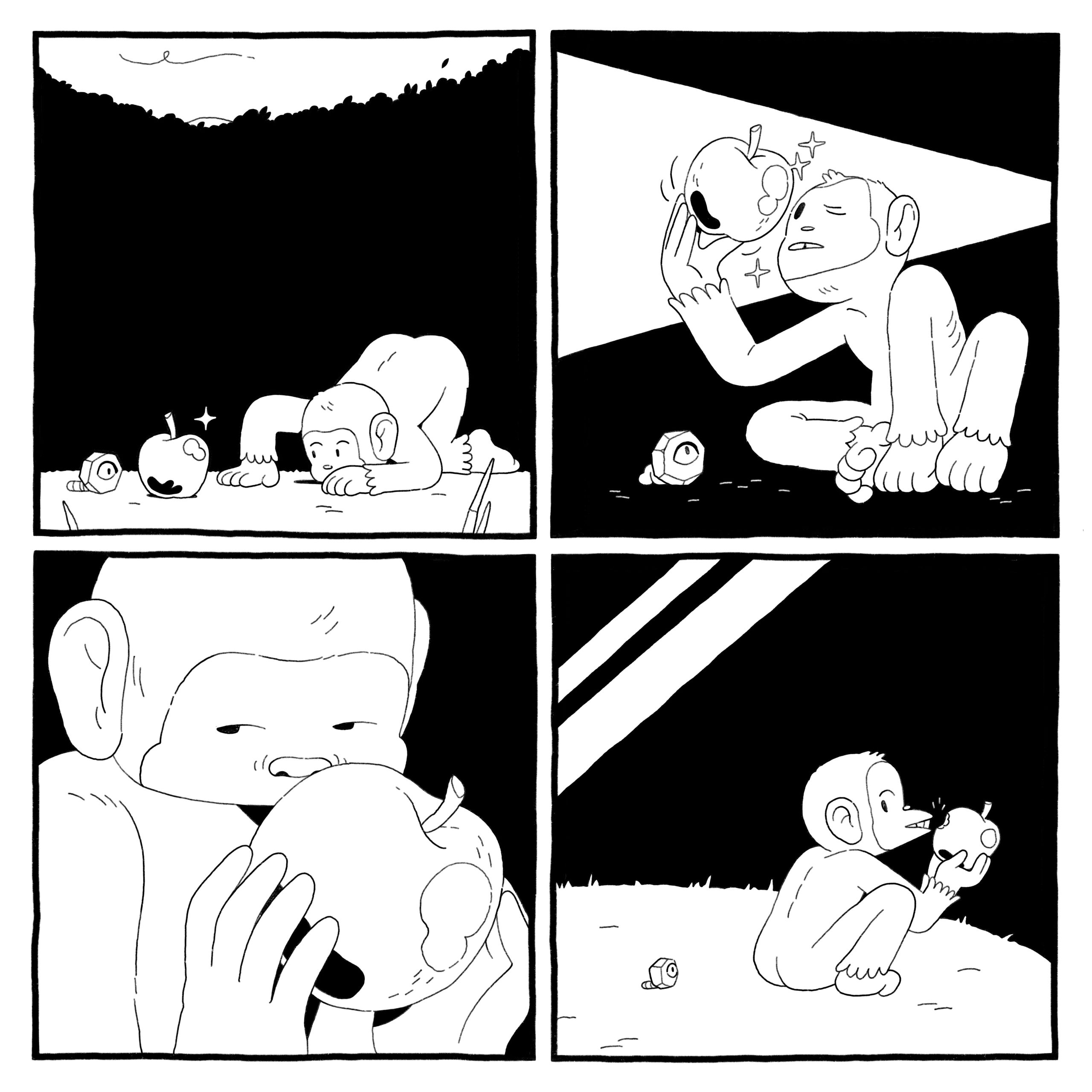 The primate gives the new apple a thorough inspection. They take a small, cautious bite.